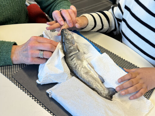 A VI-teacher helping a blind child explore a real fish